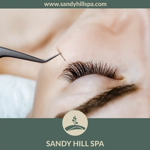 Lashes & Brows