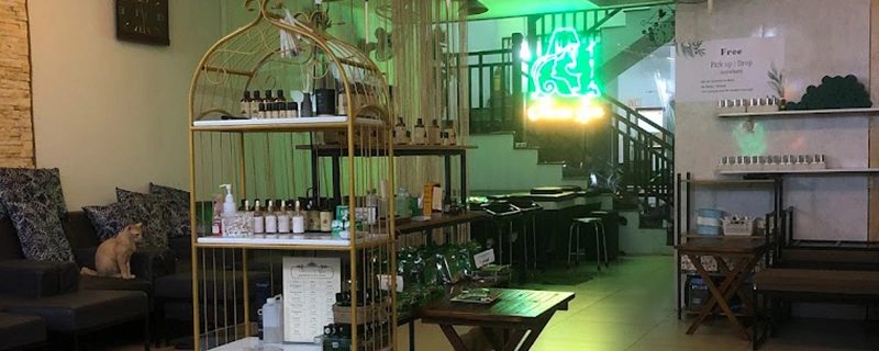 Best Massage in Hoi An 2026 – Top 15 Spas for Ultimate Relaxation (Ranked!) Aaron Spa – experienced therapists for massage hoi an old town edge